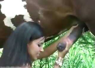 Naughty brunette strokes horse's cock and gets mouthfull of cum