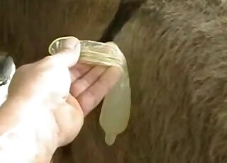 Brown stallion hangs dong in a voyeuristic porn movie with closeups