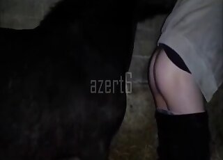 Male zoophile with pulled down pants fucks a horse in the barn