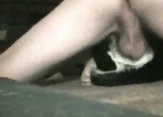 Hairy penis dude pins the animal to enjoy missionary sex with it