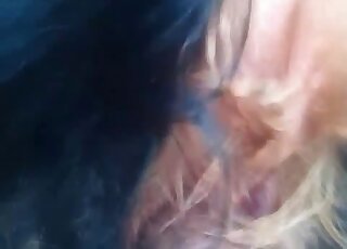کالے اور پیارے جانور کو اپنے ڈک کا استعمال کرتے ہوئے کلوز اپ کا منظر