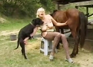 Brown stallion and black dog fucking the same lady in a threesome