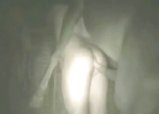 เจ้าม้าจู๋ยักษ์กำลังจะทำลายรูตูดแน่นๆ ของคนรักสัตว์คนนี้