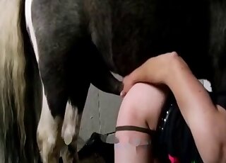 Uzun saçlı zoofil kadın, asılı bir at tarafından becerilmek istiyor