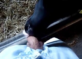 Black animal lets this dude fuck its pretty face in a very hot video