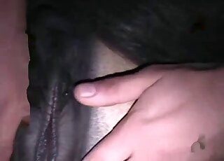 Zoophiliac adores rubbing horse pussy before passionate licking