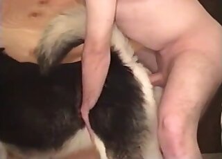 Big dick guy dominates his pet dog amateur bestiality video