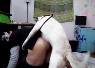 Impatient Bull Terrier gives intense cunny drilling to amateur MILF