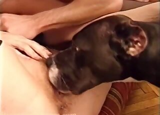 Black dog joins swinging folks for zoo group sex session