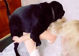 Blonde loves feeling Labrador's dick up her pierced pussy