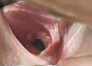 เจ้าม้าจู๋ยักษ์กำลังจะเจาะเข้าไปในช่องคลอดของนังร่านที่ชอบสัตว์