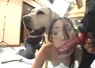 Hairy hole hottie getting banged after enjoying a sloppy blowjob