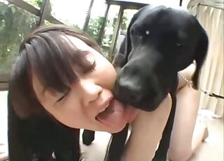 Young amateur Japanese moans with the dog fucking her quite hard