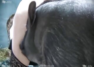 Pig deep fucks naked woman while she moans for sperm on ass