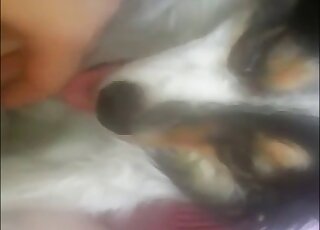 Closeups of nipples and other sexy body parts in a frenzied zoo vid