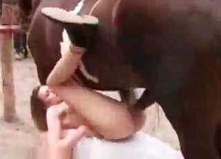 Zoophile slut widely spreads her legs and gets nailed by a horse