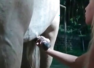 Blonde with long hair puts a horse's huge cock in her needy mouth