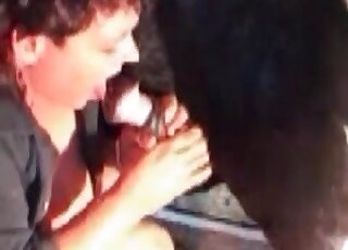 Curly-haired mommy licking horse cock after getting rammed hard