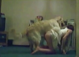 Playful slut goes for her dog’s dick and enjoys the zoo porn