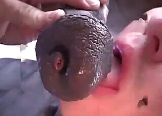 Filthy bitch deepthroats huge black cock of stallion on cam