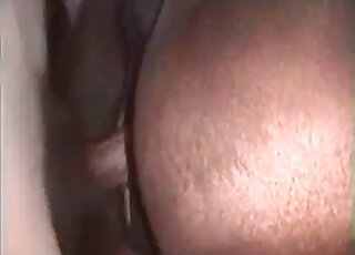 Pervert gives a rough fuck to a horse and creampies its big hole