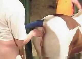 Dude fists a horse and then shoves his hairy dick in her hole