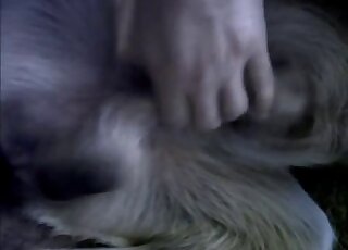 Hot animal lover enjoying the most passionate closeup zoophilia action