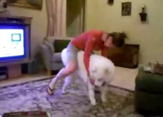 Zoophilic hottie in red tries her best to seduce this white doggo